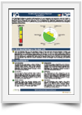 Emotional-Intelligence-Quotient-(eiQ)-Report