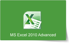 Microsoft Excel 2010 Advanced