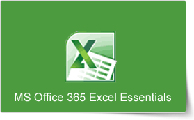 Excel Essential Training (Microsoft 365) Online Class