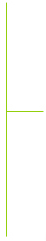 divider_line